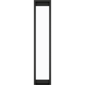 1 Pane
