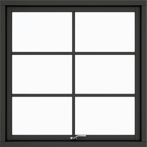 One Sash 6 Panes