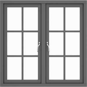 Two Sashes 12 Panes