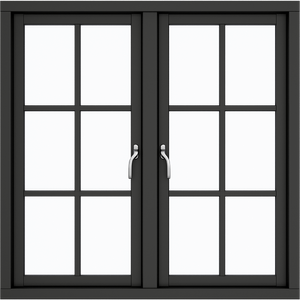 Two Sashes 12 Panes